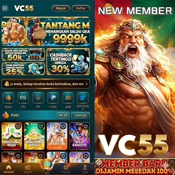 VC55 WD Cepat DANA OVO GoPay